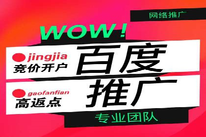 百度竞价代理的运营策略与成功案例分析